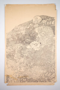 Ink Drawing