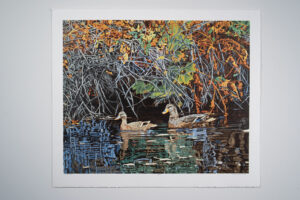 2 Ducks print