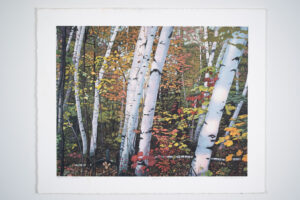 Autumn Walk print