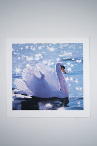 Magical Swan print