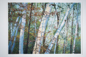 Sunny Grove print