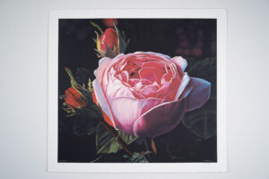 Rose print