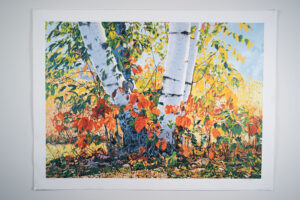 Fall Light birches print