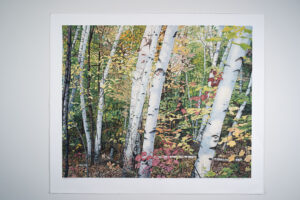 Afternoon Walk print