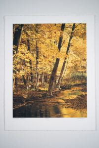 Mountain Stream print