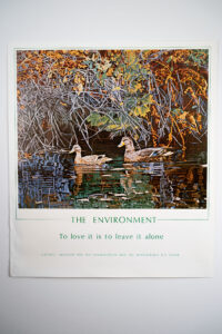 The Environment poster
