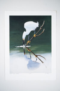Spirit Birds Dipping print