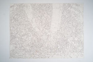 line drawing trees